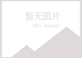 兰山区香寒演艺有限公司